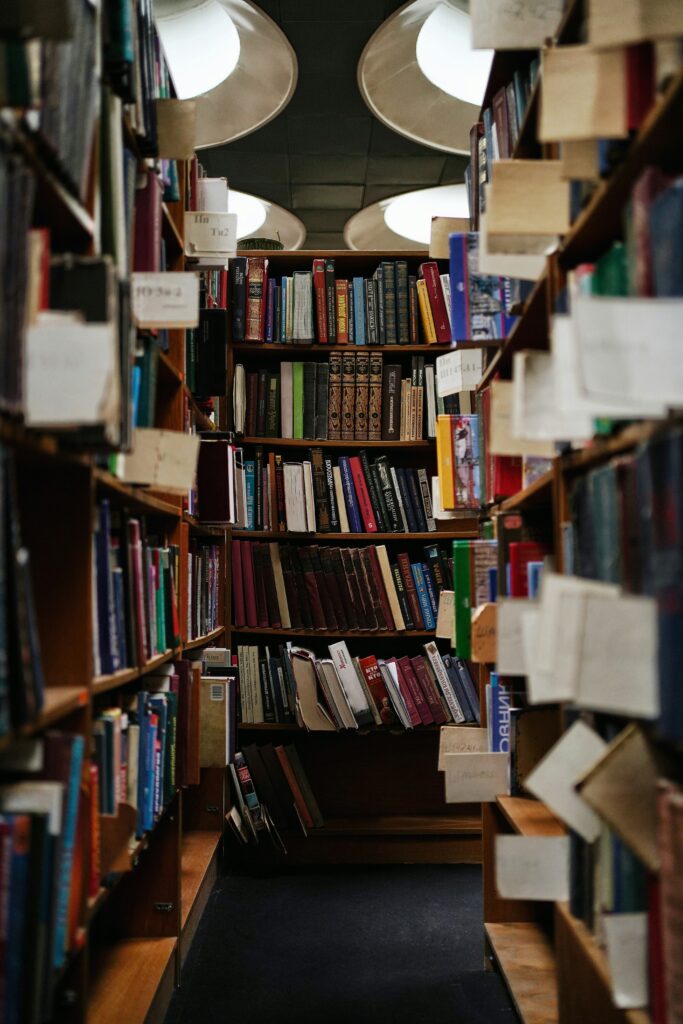 Bibliothek: Orte voller Wissen | Foto von Olena Bohovyk auf Unsplash